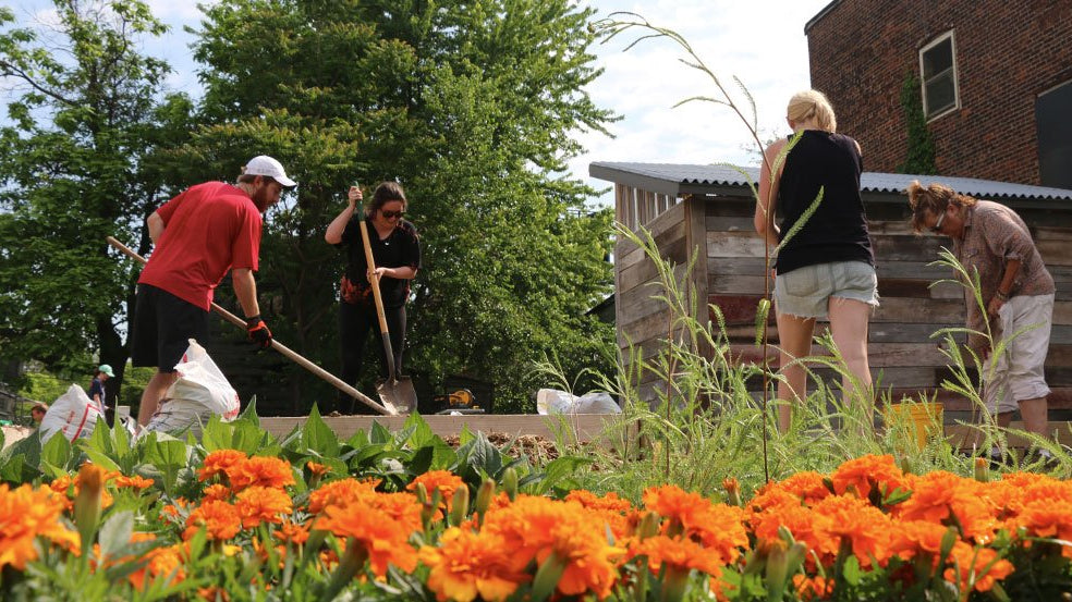 People tending to the dyeScape garden in Louisville, KY