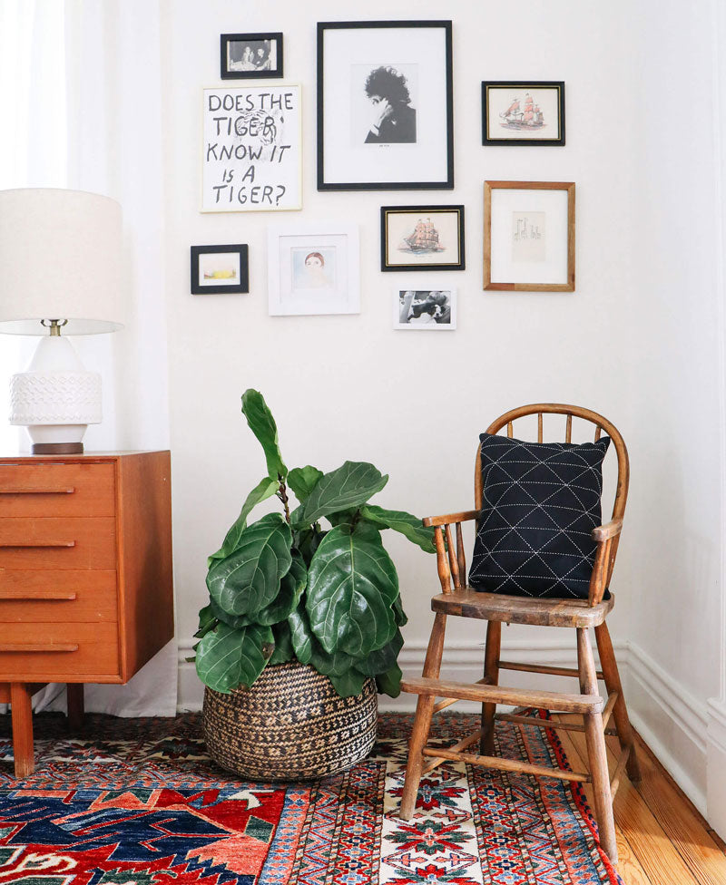 Living room with wooden chair, plant, and framed pictures on the wall