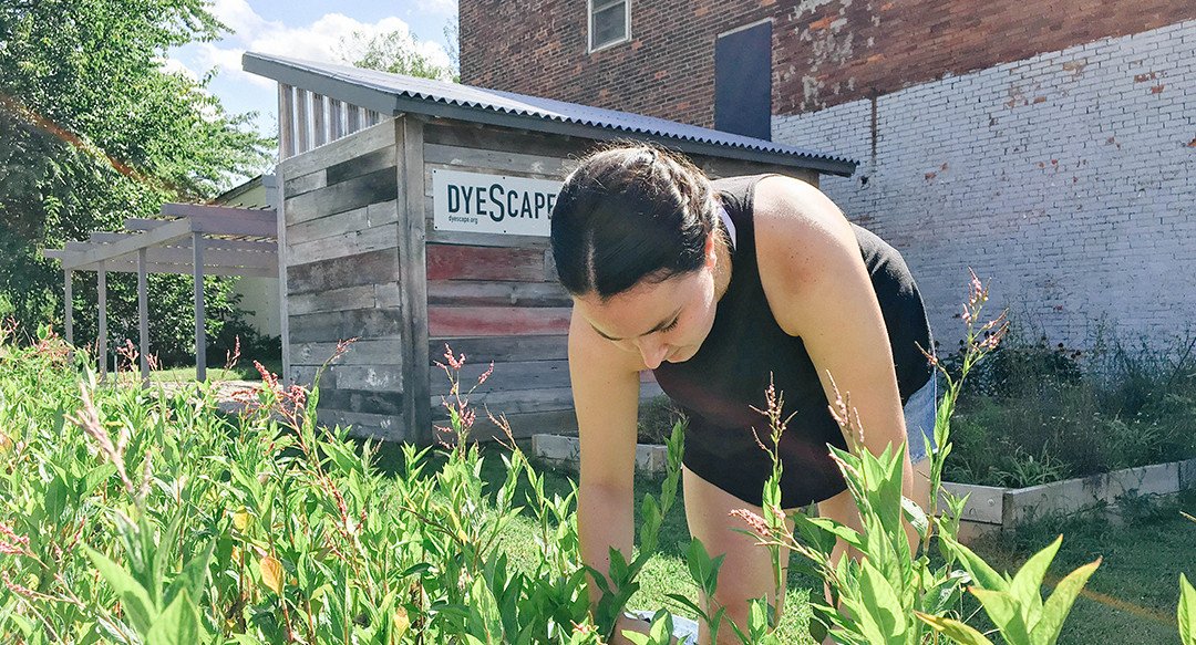 Woman tending to dyeScape garden in Louisville which once used to be a vacant lot