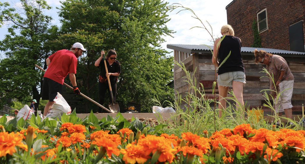 People tending to the dyeScape garden in Louisville, KY 