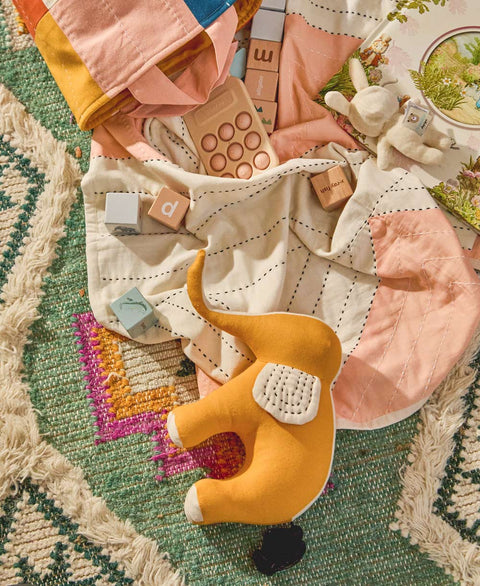 a baby stuff on a rug
