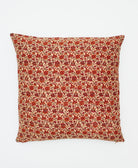colorful throw pillow